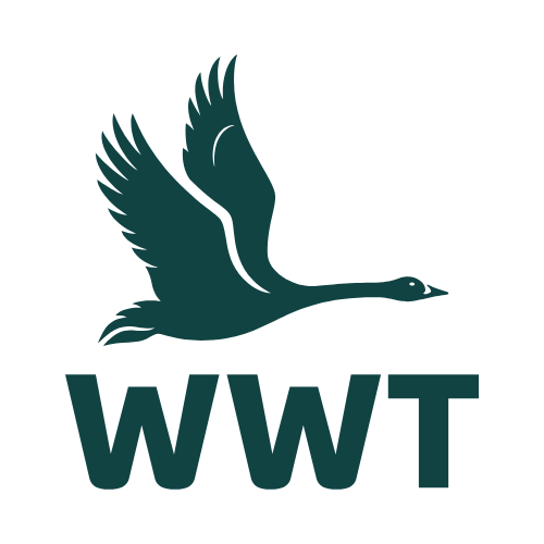 WWT logo